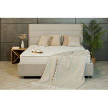 Матрас Comfort Soft 160х200