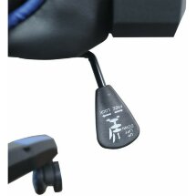 Кресло компьютерное BRABIX &quot;GT Carbon GM-120&quot;, две подушки, экокожа, черное/синее, 531930