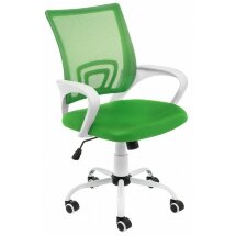 Компьютерное кресло Ergoplus зеленое